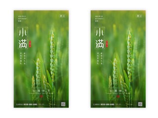 绿色清新简约小麦二十四节气小满ui手机海报